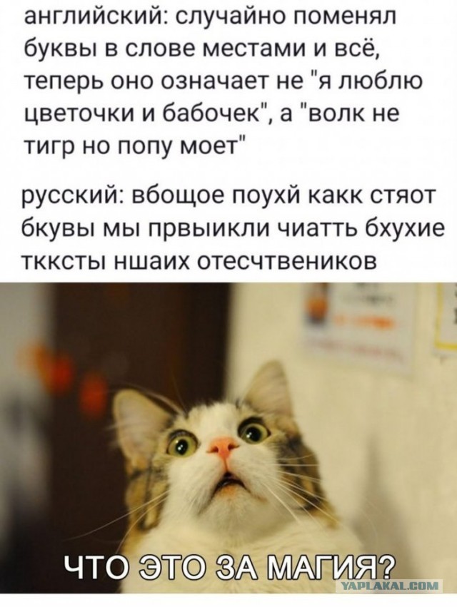 Пусть теперь Энакина в оригинале послушает