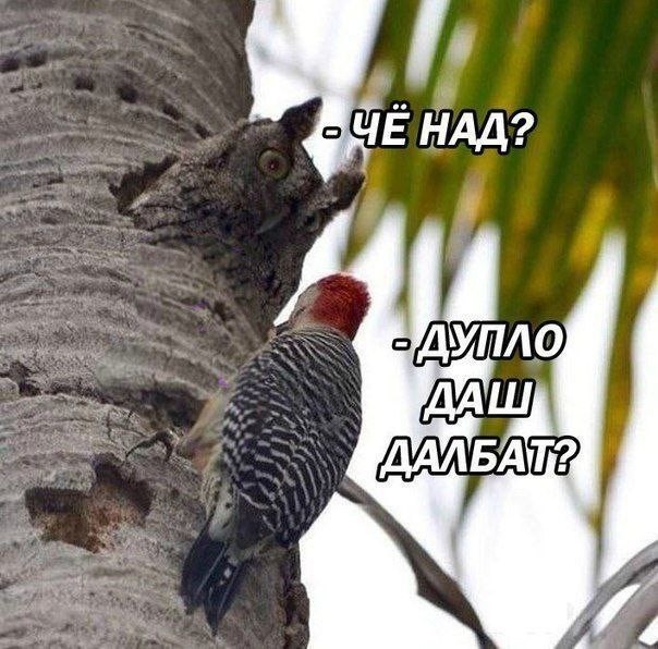 Всего понемногу. Часть 9