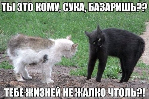 Солянка боянов из папки "Разобрать", от Удаффком до наших дней
