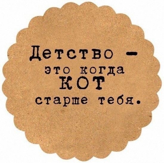 Прикольные и просто красивые картинки 02.08.2024