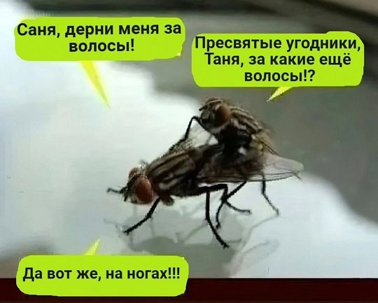 В защиту алкоголя