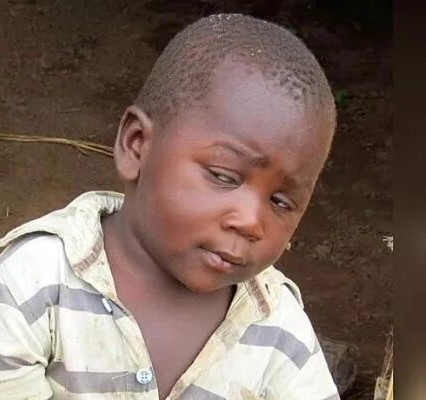 И снова котораб