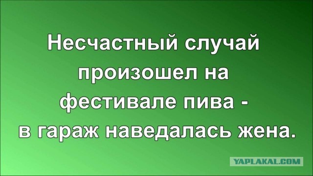 Так себе картинки 19.02.25