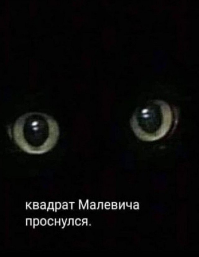 К котовторнику: подборка картинок-баянов с котиками и про котиков. Выпуск 13