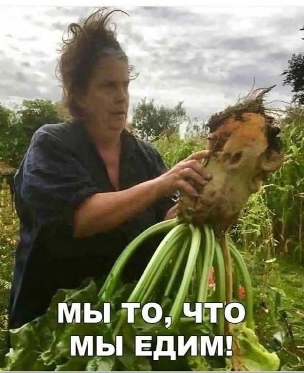 Картинки для деградации 26 (разной степени свежести)