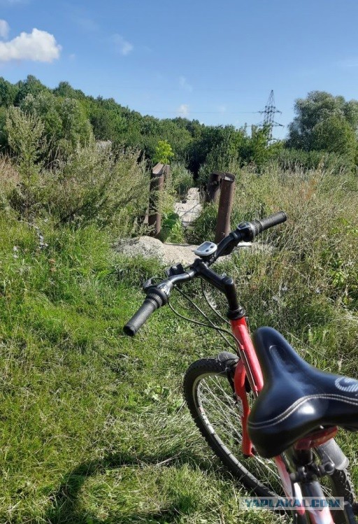 Постите летние фотки