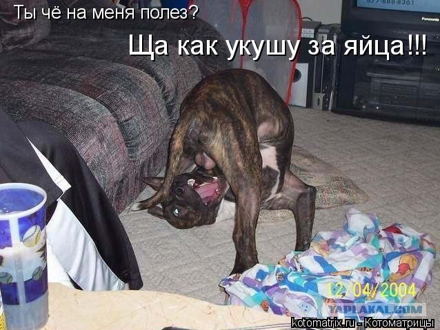А я себя могу взять за ногу