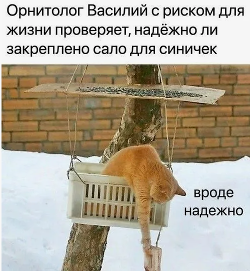Орнитологи присутствуют?