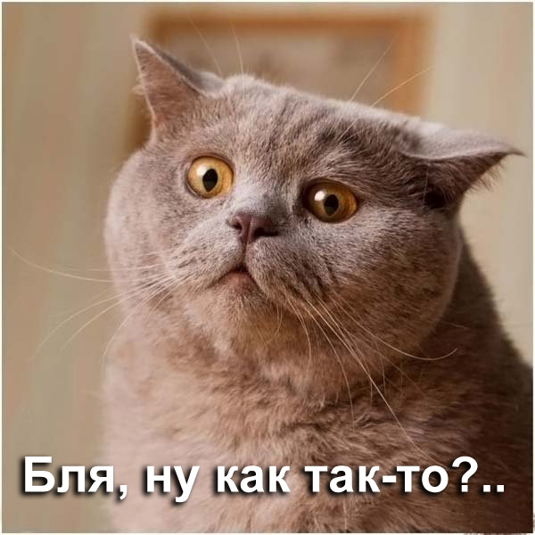 Владельцы Chery Tiggo рискуют замёрзнуть этой зимой
