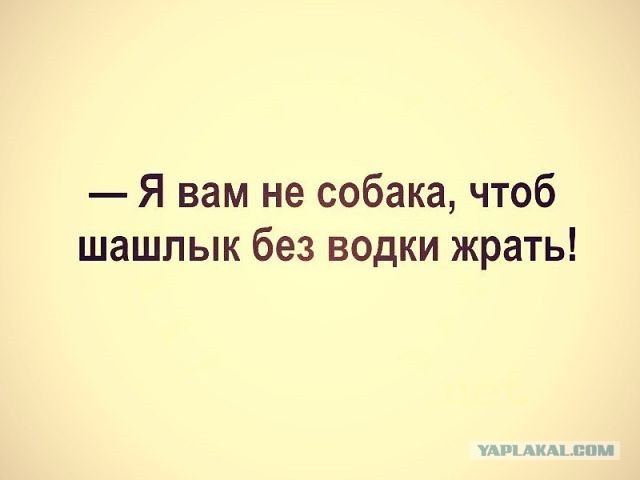 Шашлычокс..