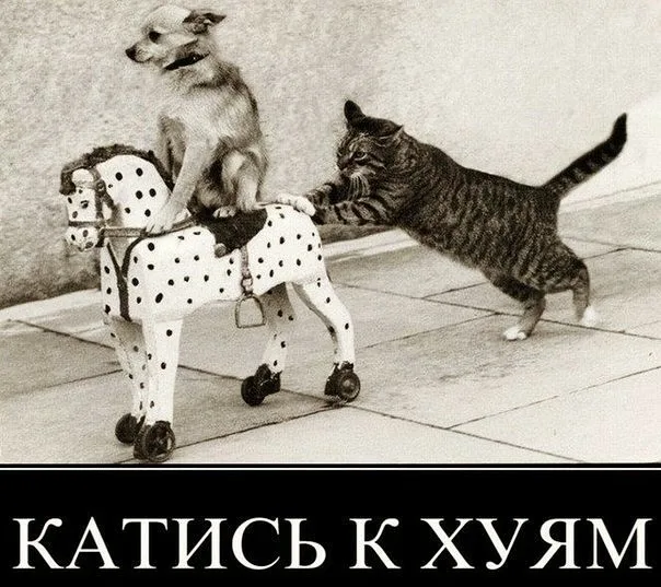 «Восточная сказка» со счастливым концом.