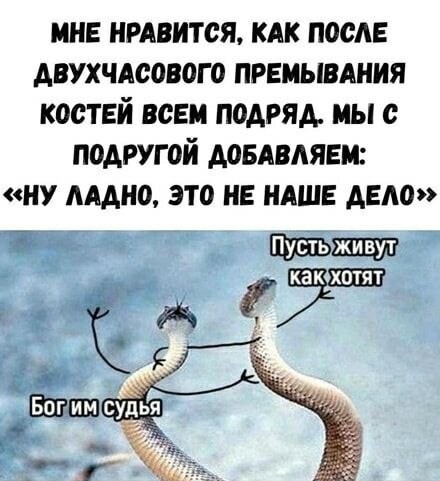 Картинки для деградации 189 (разной степени свежести)