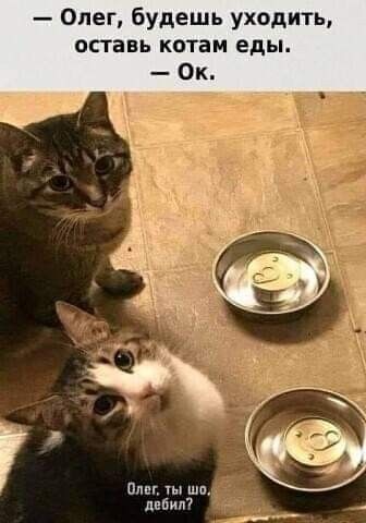 Картинки на среду