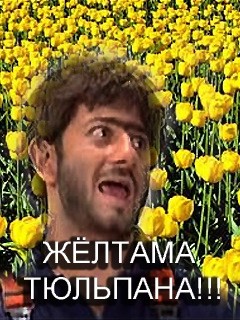 Вечеринка 30+
