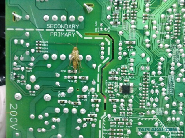 Пыль в компьютерах