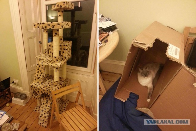 Домик для кота