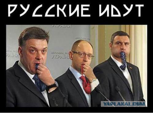 Украина. Бросок кобры!