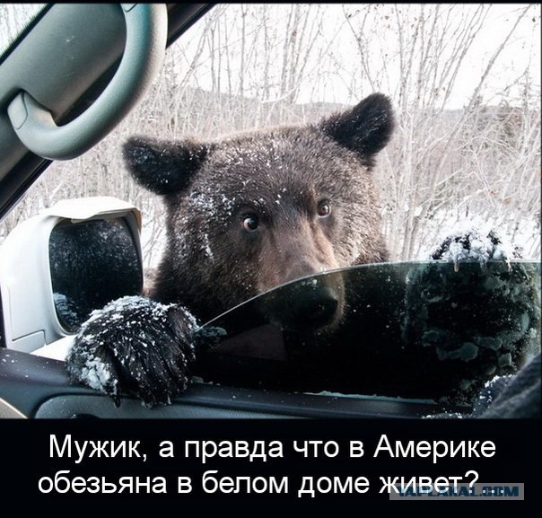 Ким Чен Ын зареган на ЯП'е?!)))