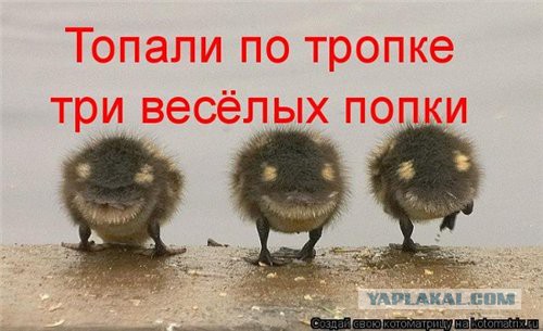 Поднимаем настроение