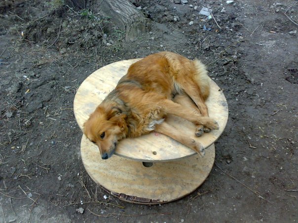 Будни сетестроителя