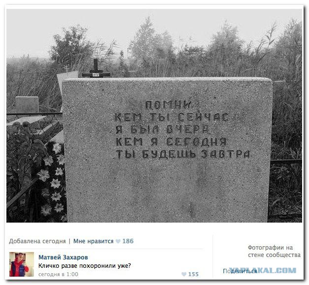 Смешные комментарии из социальных сетей