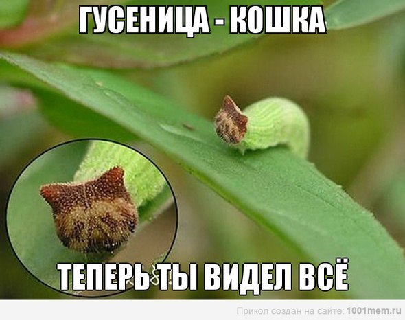 Очередная порция картинок из сети