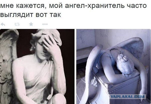 Картинки