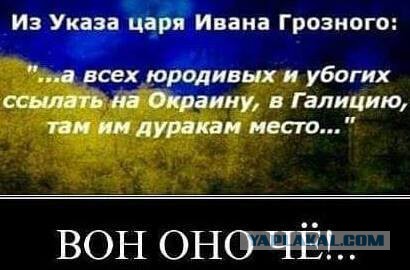 Забавные картинки из Сети