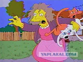 Заяц лезет на дерево