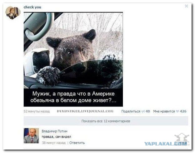 Ужасы и приколы из соцсетей 18+