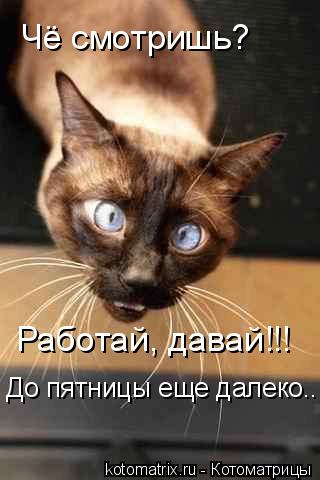 Картинки набрались разные