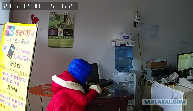 За что я люблю китайцев