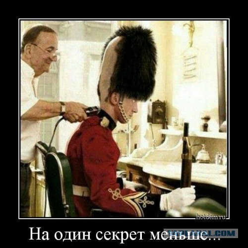Подборка смешных и забавных фото