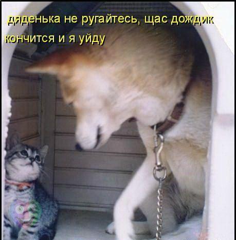 А давайте улыбнёмся