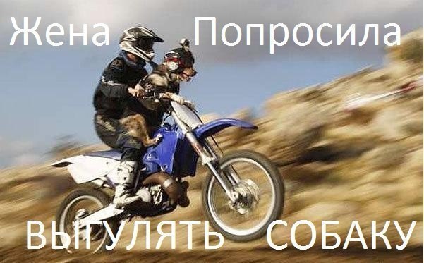 Позитивные картинки на мотоциклетную тему