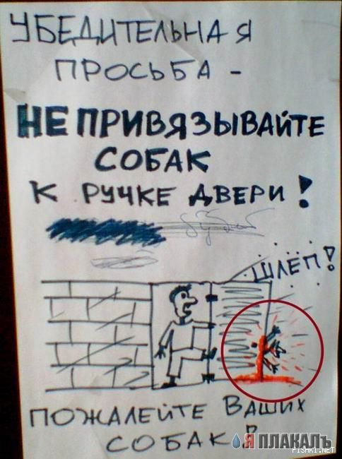 ОБЪЯВЛЕНИЯ. На стенах, в газетах, афиши.