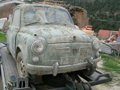 Преданные и брошенные четырехколесные друзья человека