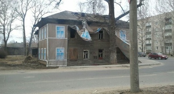 Потемкинские березки