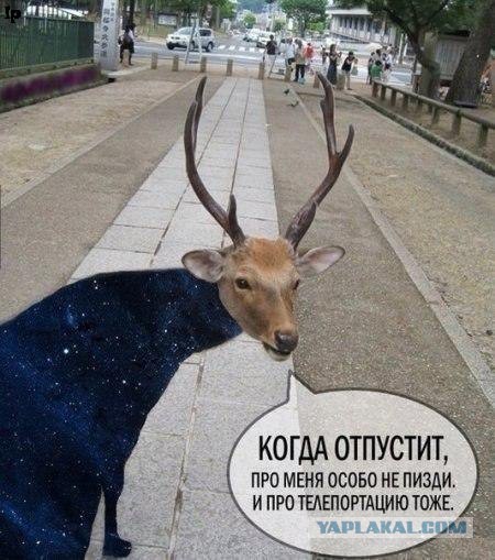 В космос на воздушном шаре