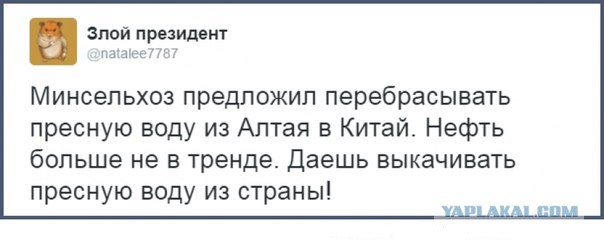 Минсельхоз предложил перебрасывать пресную воду в Китай