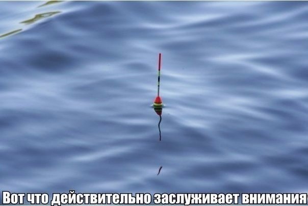 Подборка интересных и смешных картинок