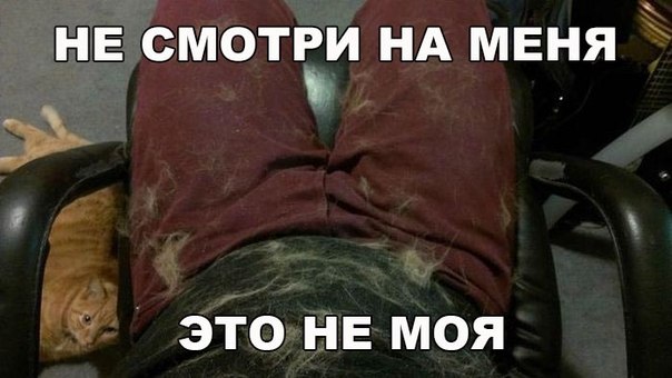 Мохнатые беспредельщики