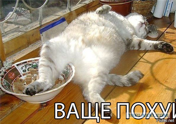 Конституция. Конституция? КОНСТИТУЦИЯ!