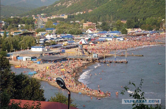 И это  бешеные цены в Крыму?!