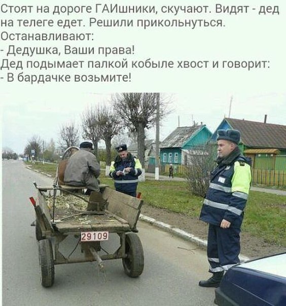 Подсмотрено на просторах