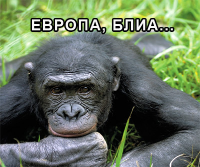 Новый год в Новой Европе
