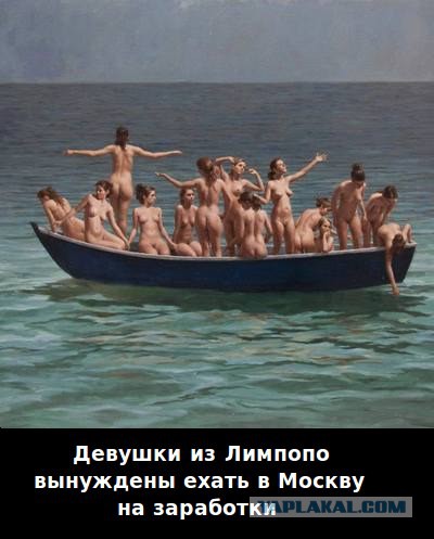 Хроники Лимпопо