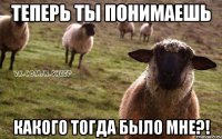 Это я....Шамиль...