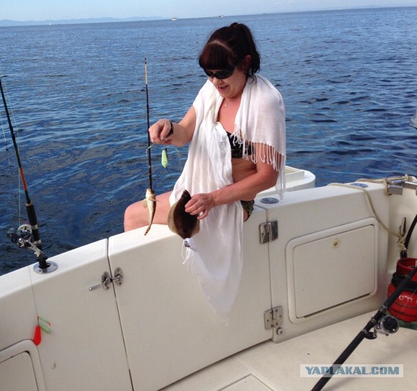 Домашние рыбные консервы.