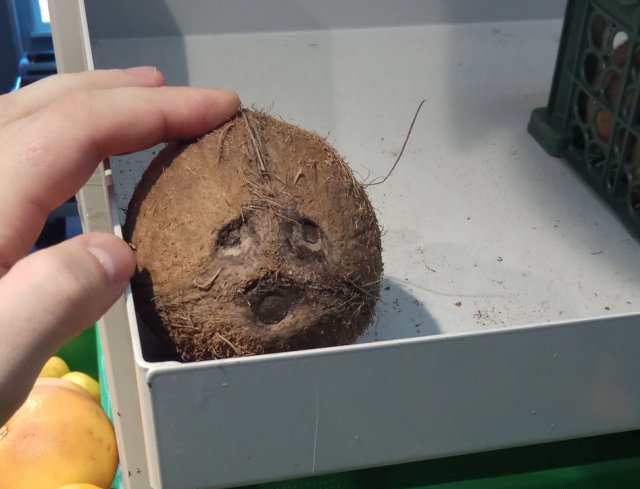 И грустно и смешно